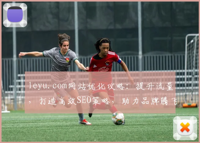 leyu.com网站优化攻略：提升流量，打造高效SEO策略，助力品牌腾飞