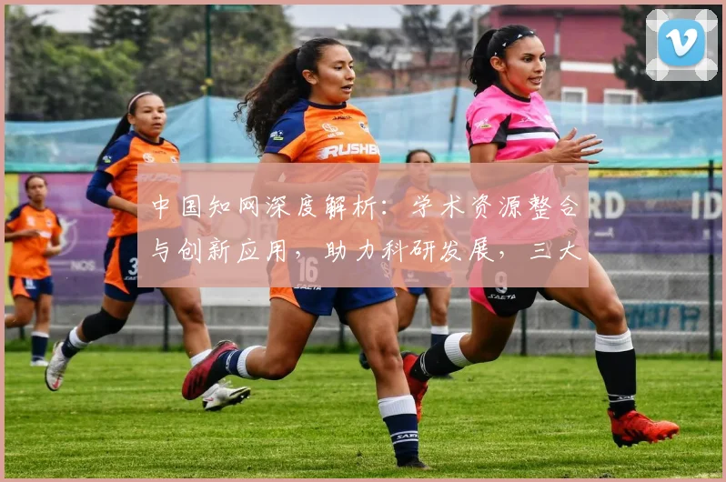 中国知网深度解析：学术资源整合与创新应用，助力科研发展，三大领域突破，成果显著。
