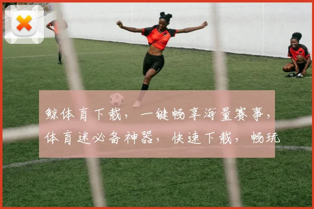 鲸体育下载，一键畅享海量赛事，体育迷必备神器，快速下载，畅玩不停，体验非凡