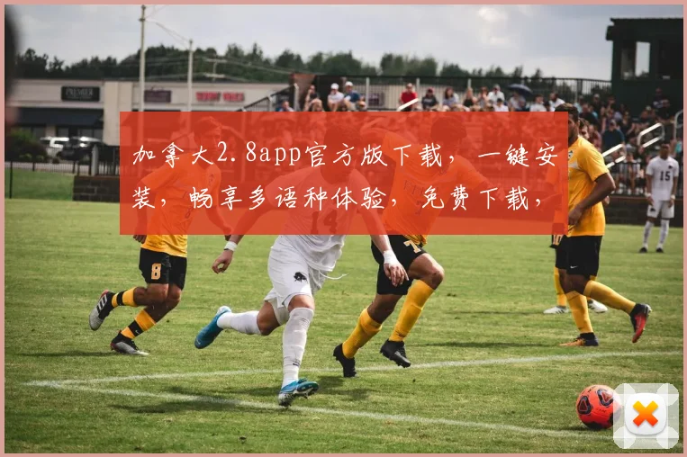 加拿大2.8app官方版下载，一键安装，畅享多语种体验，免费下载，不容错过
