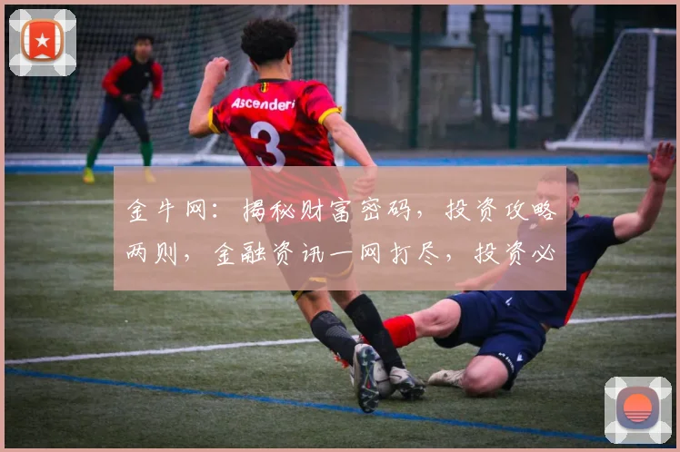 金牛网：揭秘财富密码，投资攻略两则，金融资讯一网打尽，投资必备