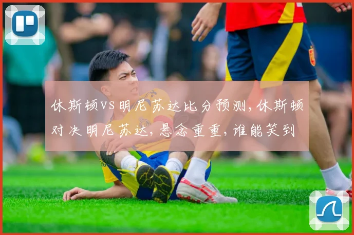 休斯顿vs明尼苏达比分预测,休斯顿对决明尼苏达,悬念重重,谁能笑到最后